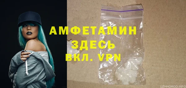 индика Абаза