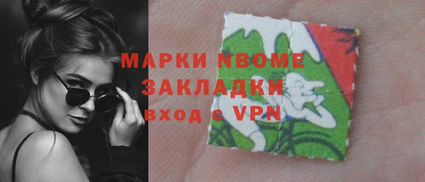 индика Абаза