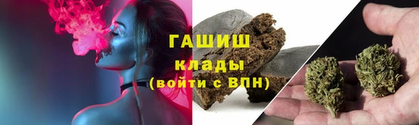 дмт Алексин