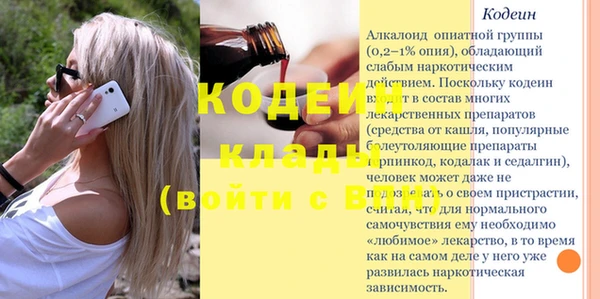 индика Абаза