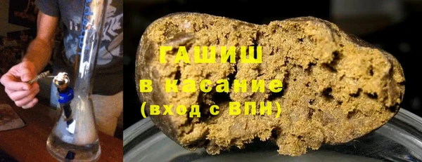 индика Абаза