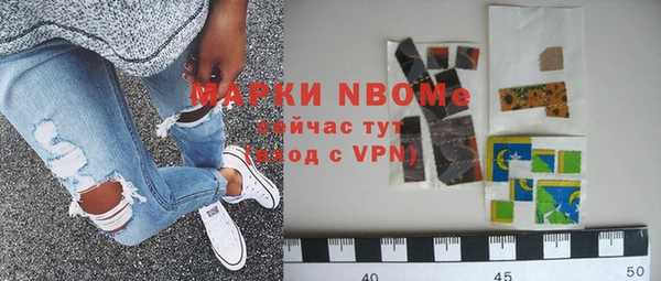 индика Абаза