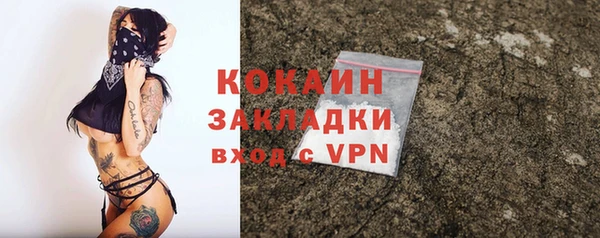 индика Абаза