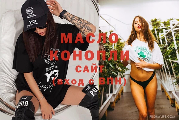 индика Абаза