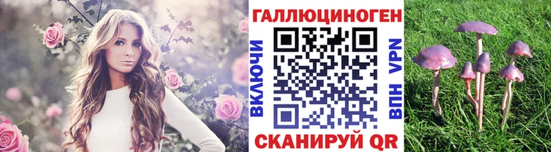 Псилоцибиновые грибы Cubensis  купить   Прохладный 